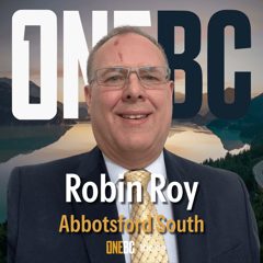 Robin Roy
